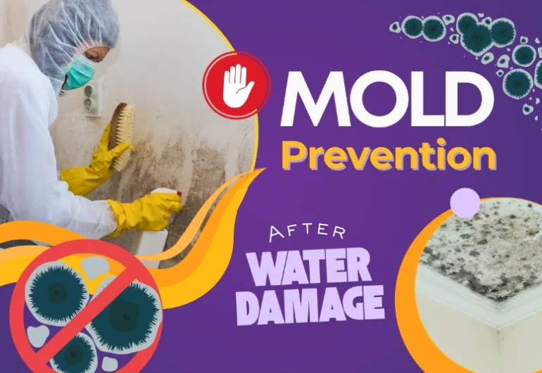 Mold Prevention After Water Damage