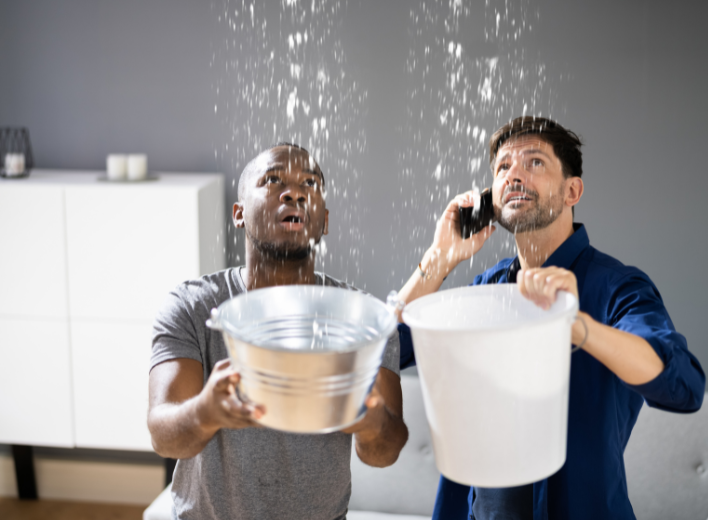 Leaky Roofs Leaky Roof