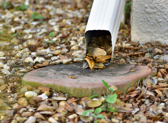 Drainage Clogged gutter