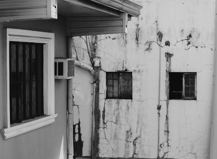 Understanding House's mold damage