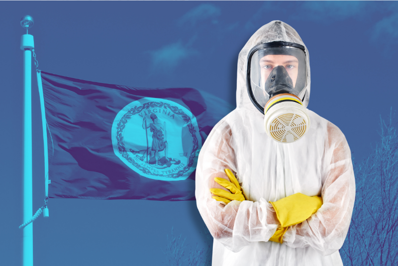 Virgina flag, Restoration expert