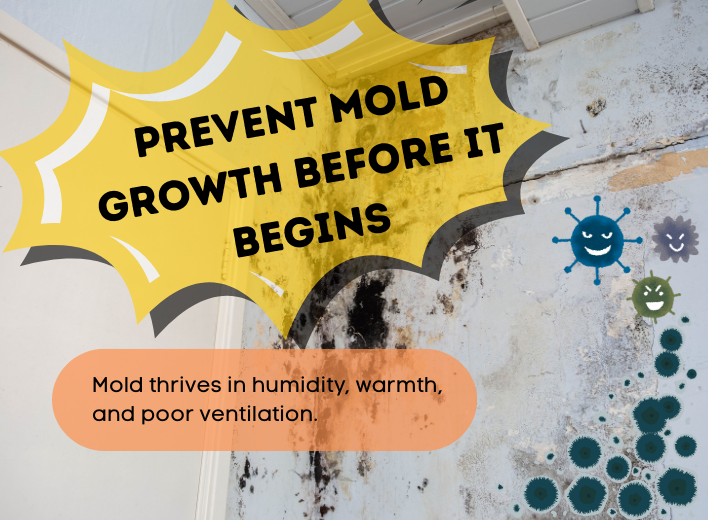 MoldGrowth Prevent Mold Growth