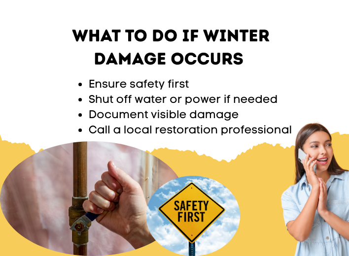 Winter Damage Occurs What to Do If Winter Damage Occurs