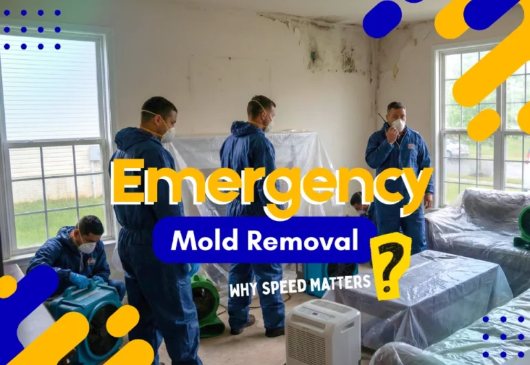 Emergency Mold Removal