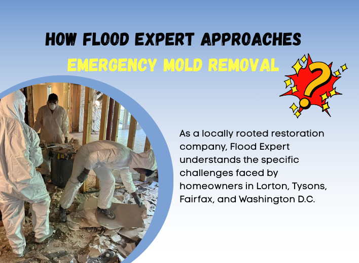 Flood Expert Approaches Flood expert handling emergency mold removal