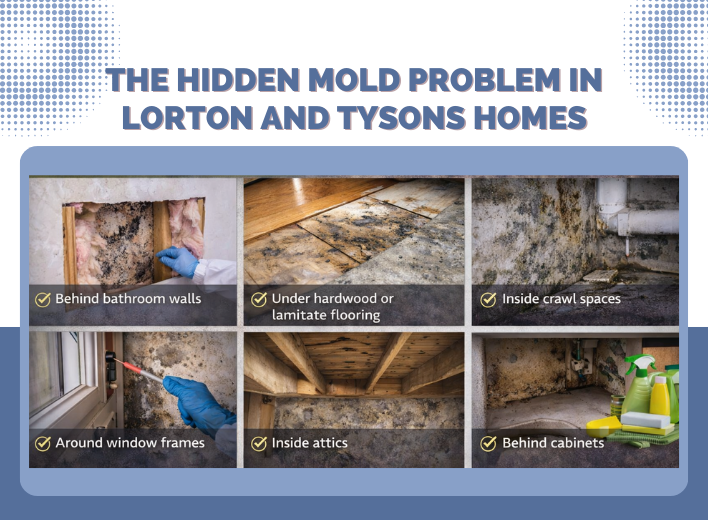 Hidden Mold Problem Hidden mold in Lorton and Tysons homes