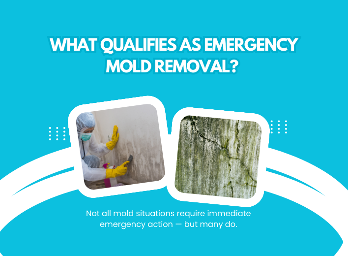 Qualifies as Emergency Emergency mold removal situation